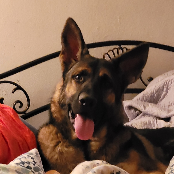 Meet your Posher, Jill - Picture 2 of 2